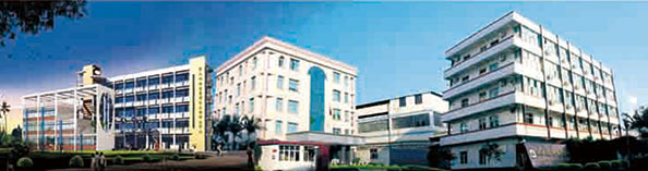 興業(yè)皮革科技股份有限公司在深交所成功上市（1992年，公司參股興業(yè)皮革廠，成為主要股東之一）。